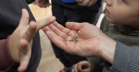 Voz Natura y la Misión Biológica se unen para recuperar la avena negra